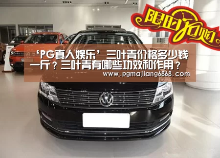 ‘PG真人娱乐’三叶青价格多少钱一斤?三叶青有哪些功效和作用?(图2) PG麻将官方入口