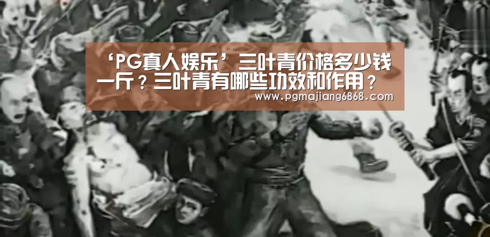 ‘PG真人娱乐’三叶青价格多少钱一斤?三叶青有哪些功效和作用?(图3) PG电子官方网站