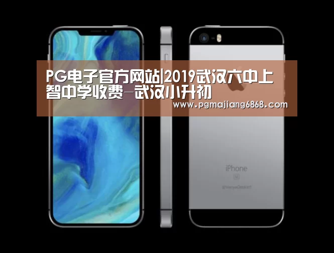 PG电子官方网站|2019武汉六中上智中学收费-武汉小升初(图2) PG麻将官方入口