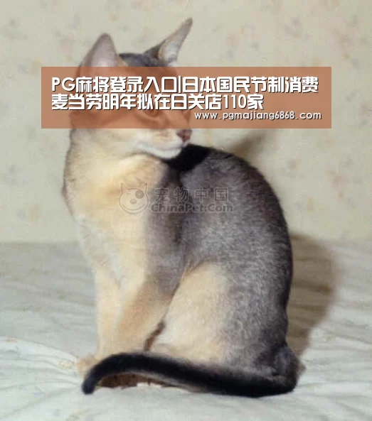 PG电子官方网站