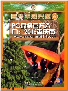 PG麻将官方入口