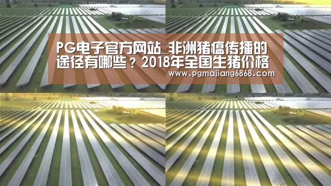 PG电子官方网站_非洲猪瘟传播的途径有哪些?2018年全国生猪价格行情(图1) PG电子官方网站