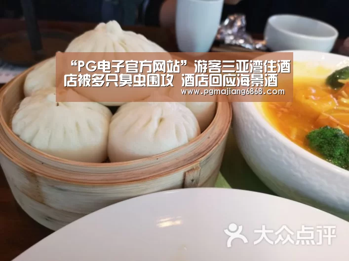 “PG电子官方网站”游客三亚湾住酒店被多只臭虫围攻 酒店回应海景酒店(图1) PG电子官方网站