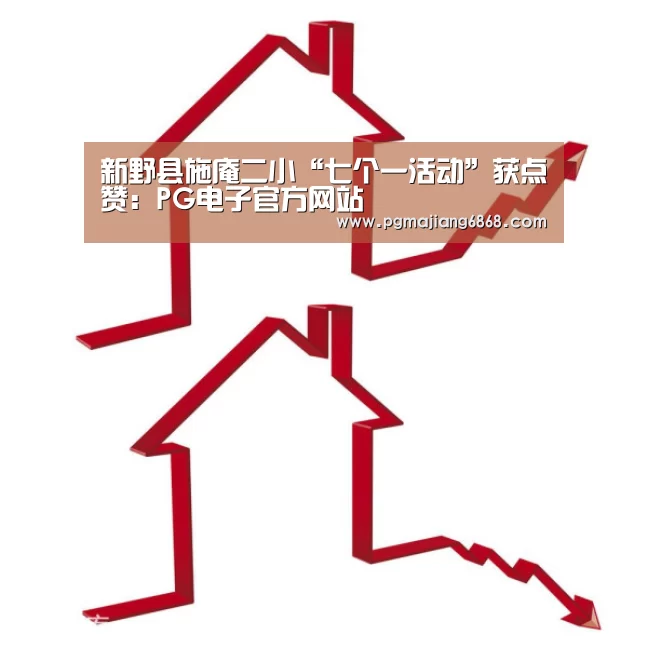 新野县施庵二小“七个一活动”获点赞:PG电子官方网站(图3) PG麻将登录入口