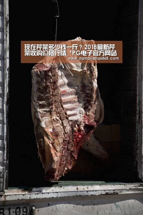 现在芹菜多少钱一斤?2018最新芹菜收购价格行情‘PG电子官方网站’(图4) PG电子官方网站