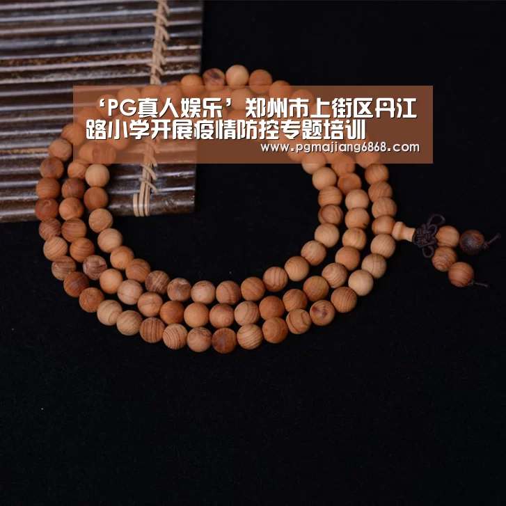 ‘PG真人娱乐’郑州市上街区丹江路小学开展疫情防控专题培训(图1) PG麻将官方入口