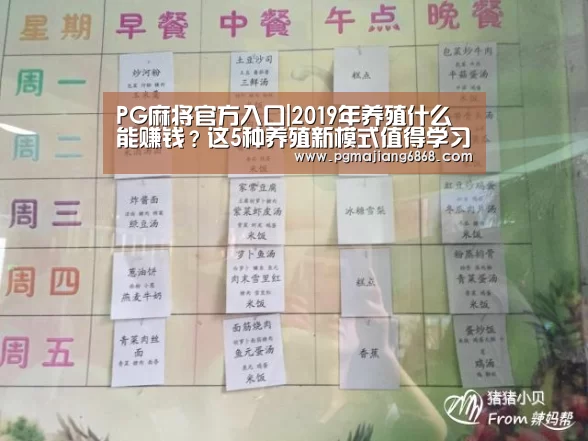 PG麻将官方入口|2019年养殖什么能赚钱?这5种养殖新模式值得学习!(图2) PG麻将官方入口