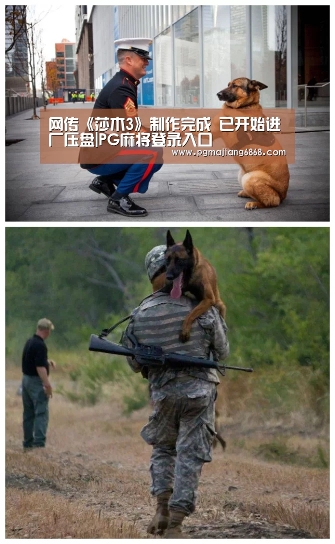 网传《莎木3》制作完成 已开始进厂压盘|PG麻将登录入口(图3) PG电子官方网站