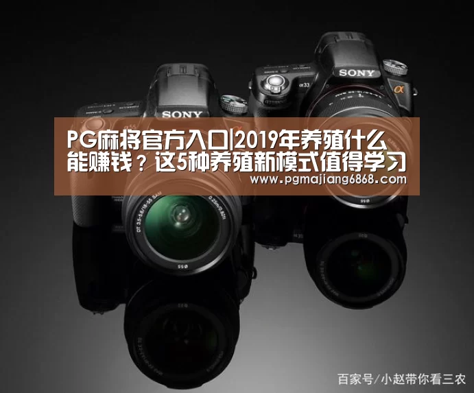 PG麻将官方入口|2019年养殖什么能赚钱?这5种养殖新模式值得学习!(图4) PG麻将登录入口