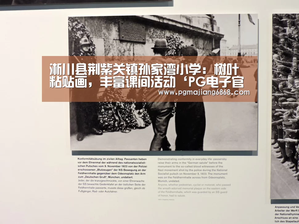 淅川县荆紫关镇孙家湾小学:树叶粘贴画,丰富课间活动‘PG电子官方网站’(图1) PG麻将官方入口