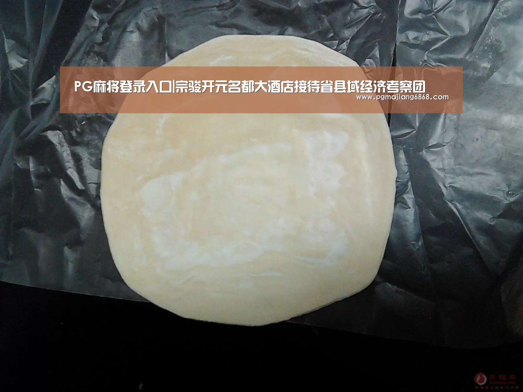 PG麻将登录入口|宗骏开元名都大酒店接待省县域经济考察团(图1) PG麻将官方入口