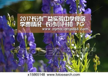2017长沙广益实验中学食宿学费情况-长沙小升初-PG麻将登录入口(图1) PG电子官方网站