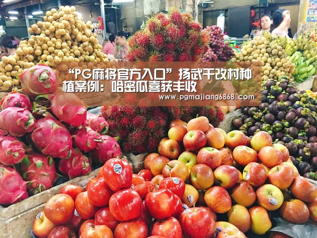 “PG麻将官方入口”扬武干改村种植案例:哈密瓜喜获丰收(图2) PG麻将官方入口